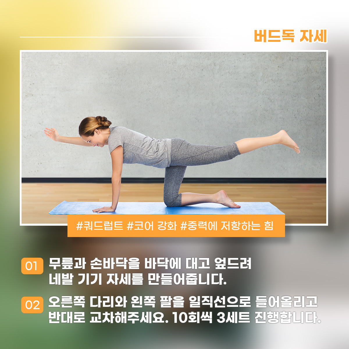 버드독 자세 #쿼드럽트 #코어 강화 #중력에 저항하는 힘 1) 무릎과 손바닥을 바닥에 대고 엎드려 네발 기기 자세를 만들어줍니다. 2) 오른쪽 다리와 왼쪽 팔을 일직선으로 들어올리고 반대로 교차해주세요. 10회씩 3세트 진행합니다.