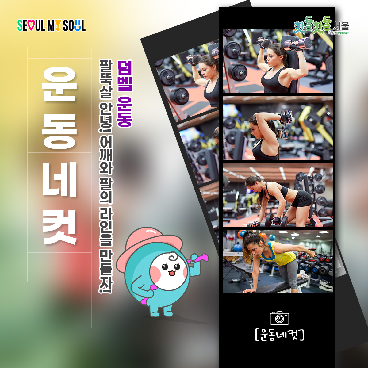 운동 네컷 팔뚝살 안녕! 어깨와 팔의 라인을 만들자! 덤벨 운동