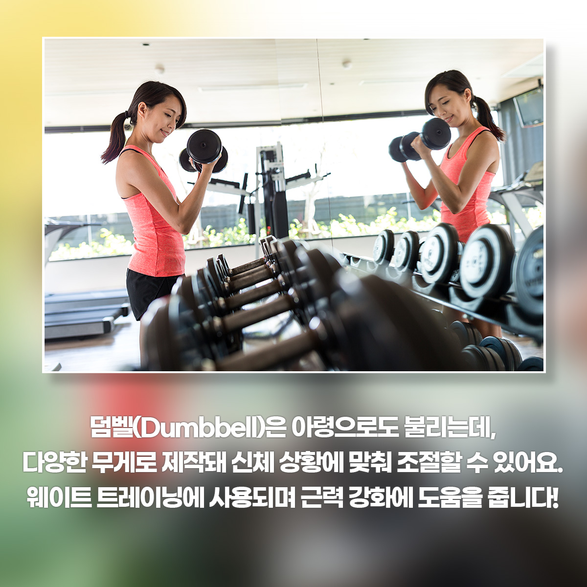덤벨(Dumbbell)은 아령으로도 불리는데, 다양한 무게로 제작돼 신체 상황에 맞춰 조절할 수 잇어요,웨이트 트레이닝에 사용되며 근력 강화에 도움을 줍니다!