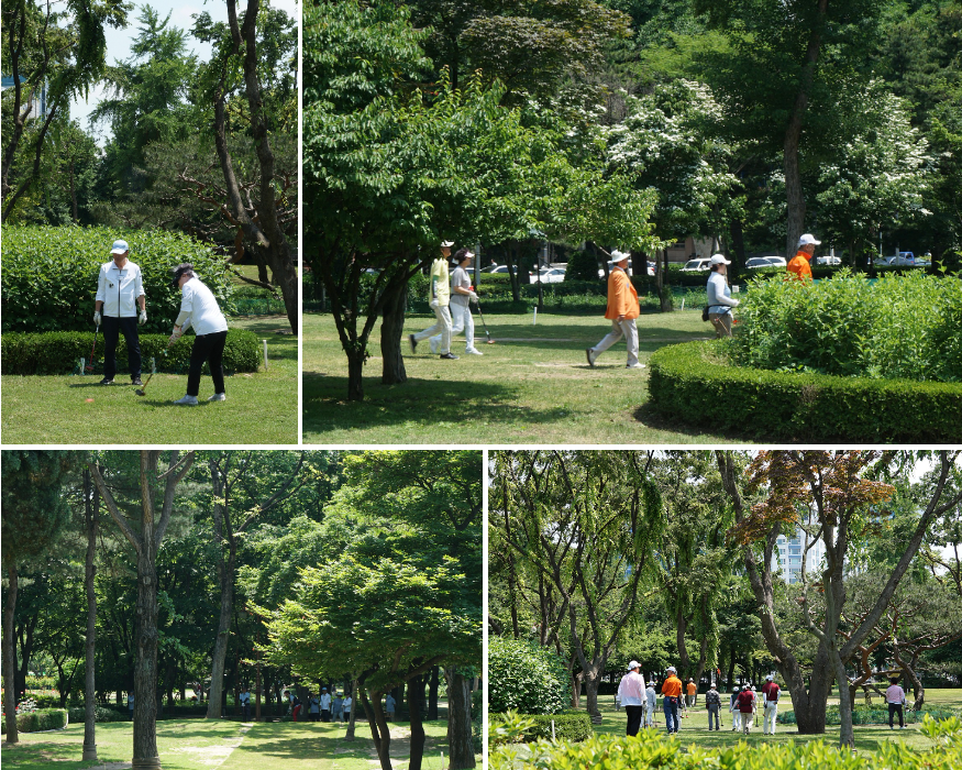 푸른 나무의 그늘과 함께하는 파크골프란 자연과 함께 어우러져 평화롭고 잔잔한 매력을 보여주는 종목인 듯 합니다