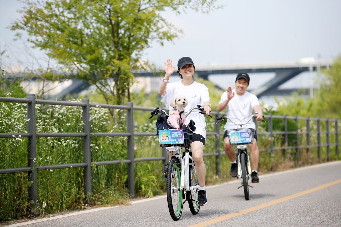 쉬엄쉬엄 한강 3종 축제8