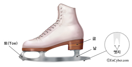919732_1.jpg 피겨 스케이팅은 얼음판 위에서 곡선을 따라 주행하며 예술적인 연기가 가미된 빙상 스포츠로, 김연아 선수와 같은 유명 선수가 있습니다