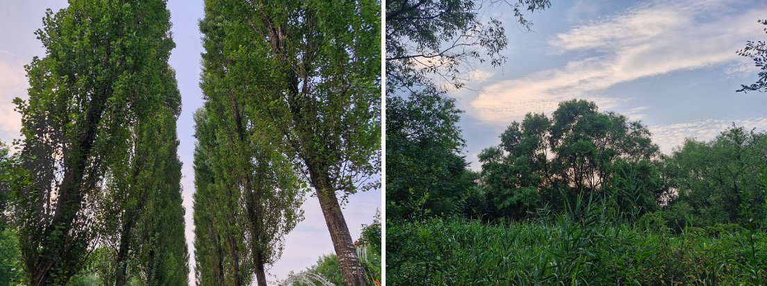 Screenshot%202024-08-08%20095206.jpg 더운 여름에 트레킹 참여를 위해 모인 시민들에게 배번호와 시원한 얼음물, 그리고 간식을 제공해주셨습니다