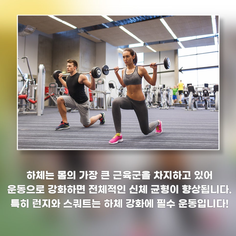 하체는 몸의 가장 큰 근육군을 차지학 있어 운동으로 강화하면 전체적인 신체 균형이 향상됩니다. 특히 런지와 스쿼트는 하체 강화에 필수 운동입니다!