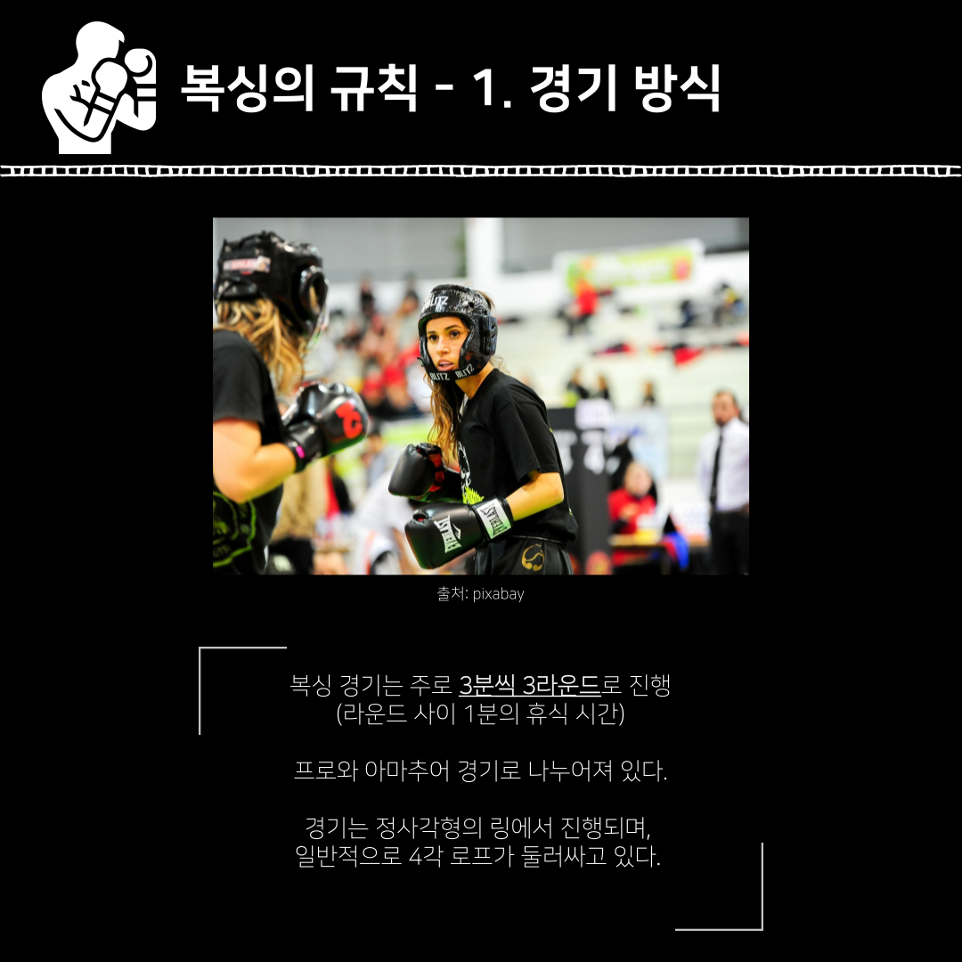 복싱의 유래부터 규칙과 기술 등 '복싱을 톺아볼 수 있는 시간'을 마련했습니다