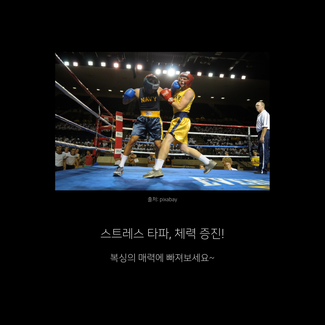 경기에 참여하는 선수들은 반드시 글러브, 마우스피스, 헤드기어(아마추어 경기의 경우)를 착용해야 합니다