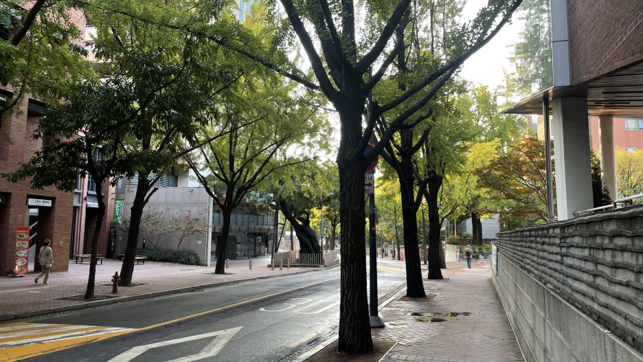 이번 행사는 서울특별시와 동아일보사가 주최했고, 정말 많은 기업들이 후원해주었습니다.
