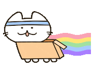 지금 생각해보면 저는 대학교에 입학한 지 얼마 안 된 1학년 3월 달에