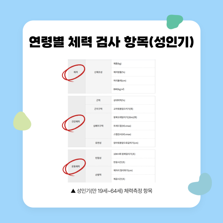 연령별 체력 검사 항목 (성인기)