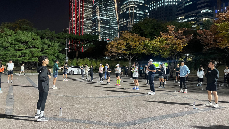 없지만, 벌레가 