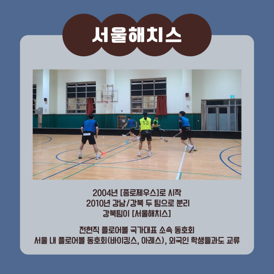 서울해치스팀의