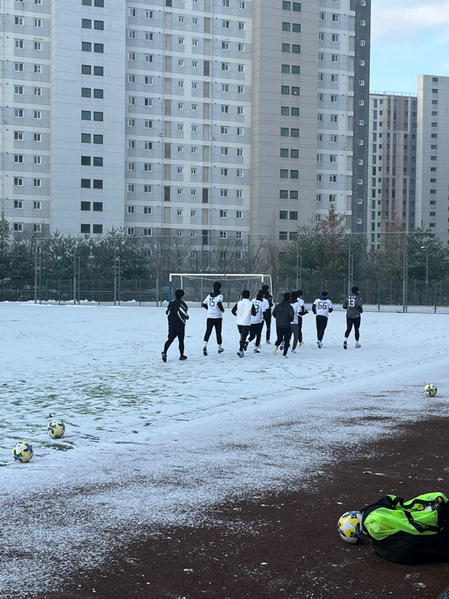 한국축구의 뿌리로 삼아야 한다는 의견도