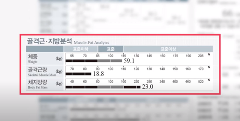 
골격근, 지방 분석
체중 59.1kg 표준
골격근량 18.8kg 표준 이하
체지방량 23kg 표준 이상

