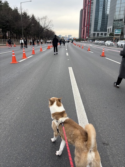 KakaoTalk_20260316_171439511_21.jpg